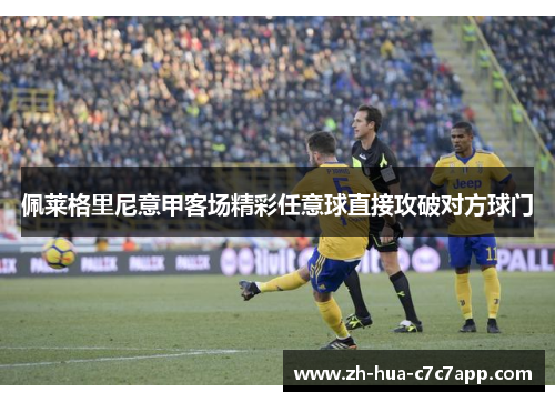 佩莱格里尼意甲客场精彩任意球直接攻破对方球门
